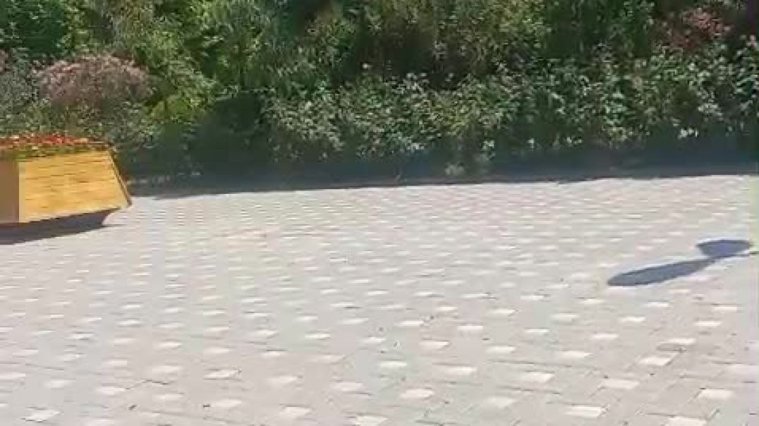 ⁣VID-20250701-WA0038(1)