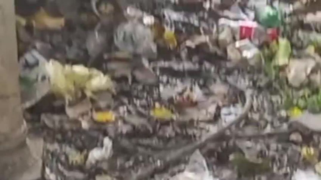 VID-20251023-WA0024
