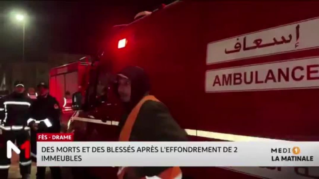 redpandacompress_морокко