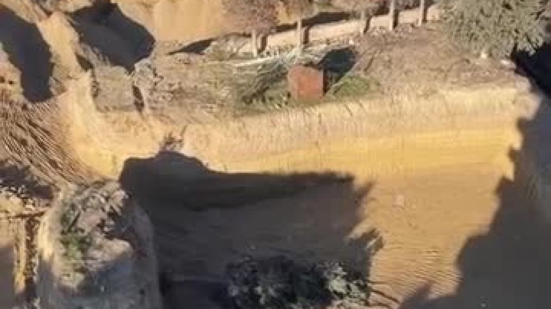 WhatsApp Video 2026-01-05 at 16