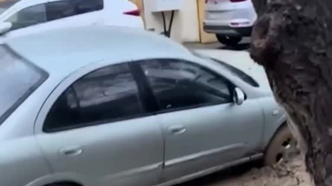 ⁣WhatsApp Video 2026-01-14 at 12