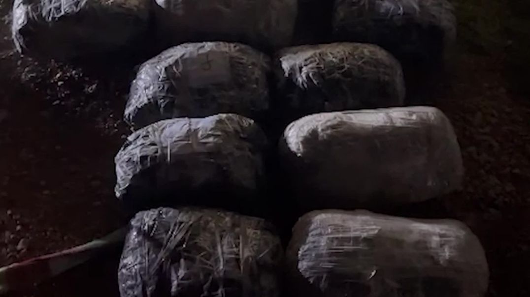 WhatsApp Video 2026-01-26 at 16