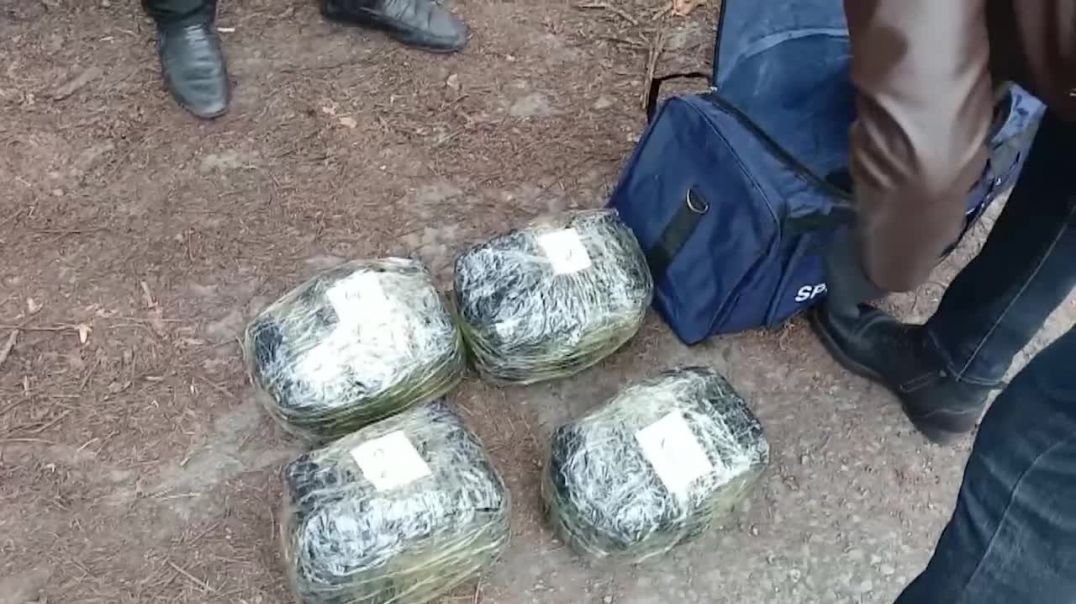 Zaqatala narkotik SROY_1