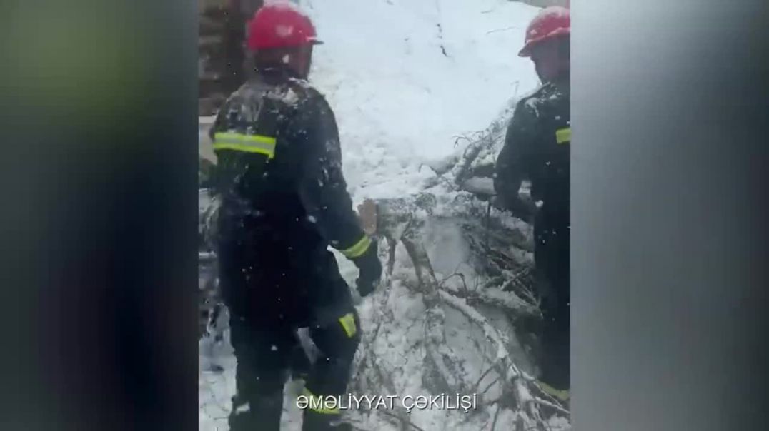 Cəlilabad şəhərində 1 nəfərin üzərinə ağacın aşması nəticəsində köməksiz vəziyyətdə qalması