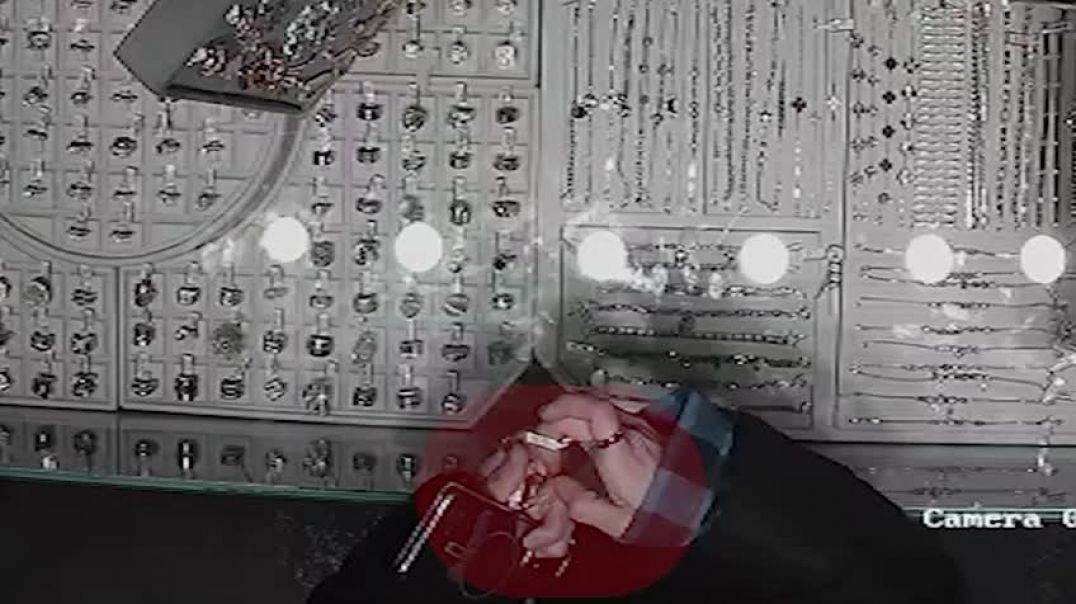 WhatsApp Video 2026-02-12 at 15