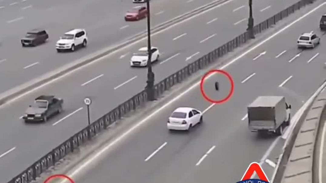 WhatsApp Video 2026-02-12 at 09