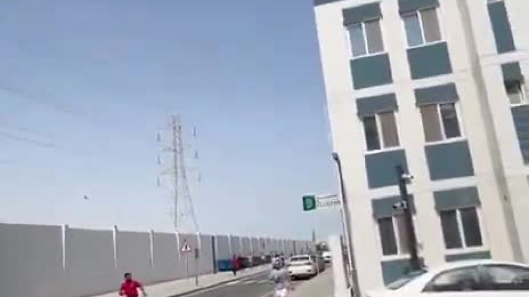 -8810876943524934394