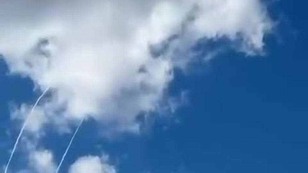 document_5278506242619248137