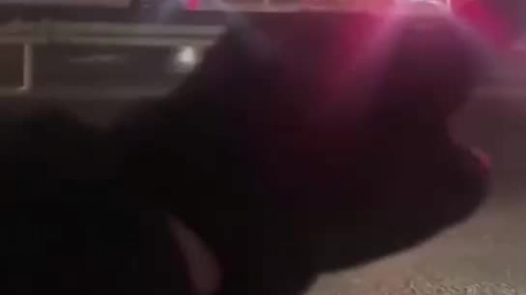 WhatsApp Video 2026-03-09 at 10