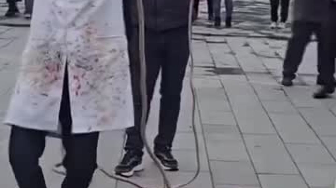 ⁣WhatsApp Video 2026-04-13 at 14