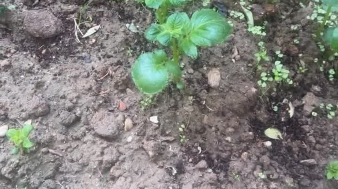 ae4c600e-8a9f-4d1e-885e-14fc4cc85655