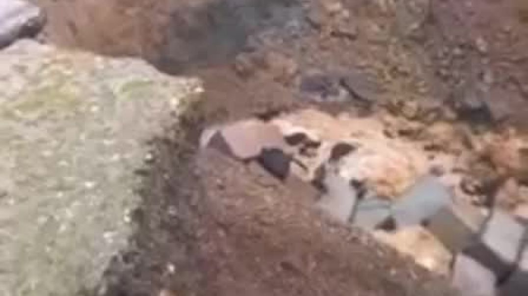 ⁣WhatsApp Video 2026-04-06 at 17