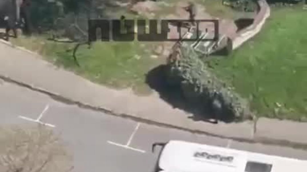 WhatsApp Video 2026-04-07 at 13