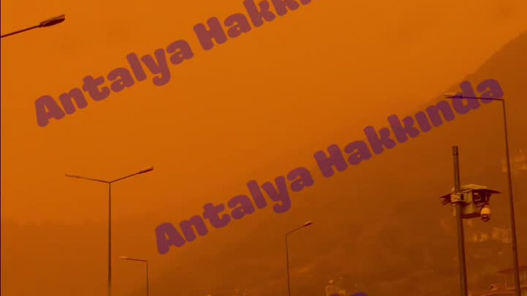 WhatsApp Video 2026-04-03 at 15