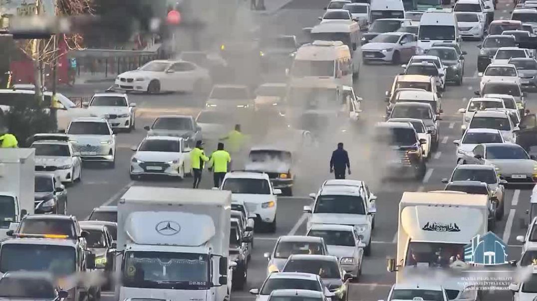 WhatsApp Video 2026-04-03 at 10