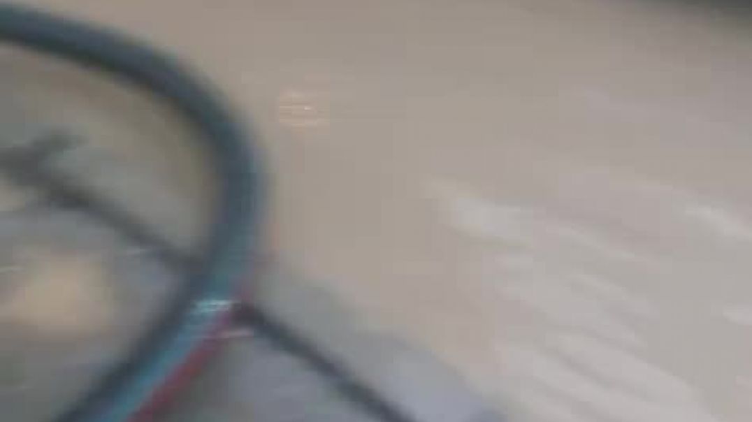 ⁣WhatsApp Video 2026-04-06 at 14