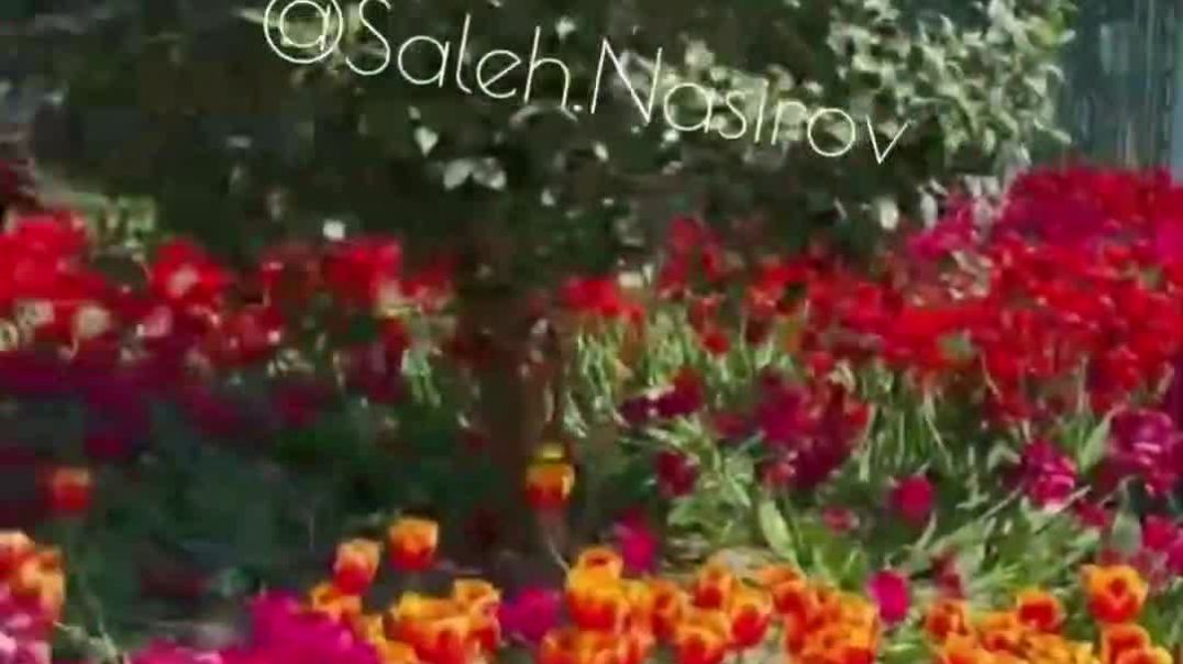 ⁣WhatsApp Video 2026-04-13 at 14