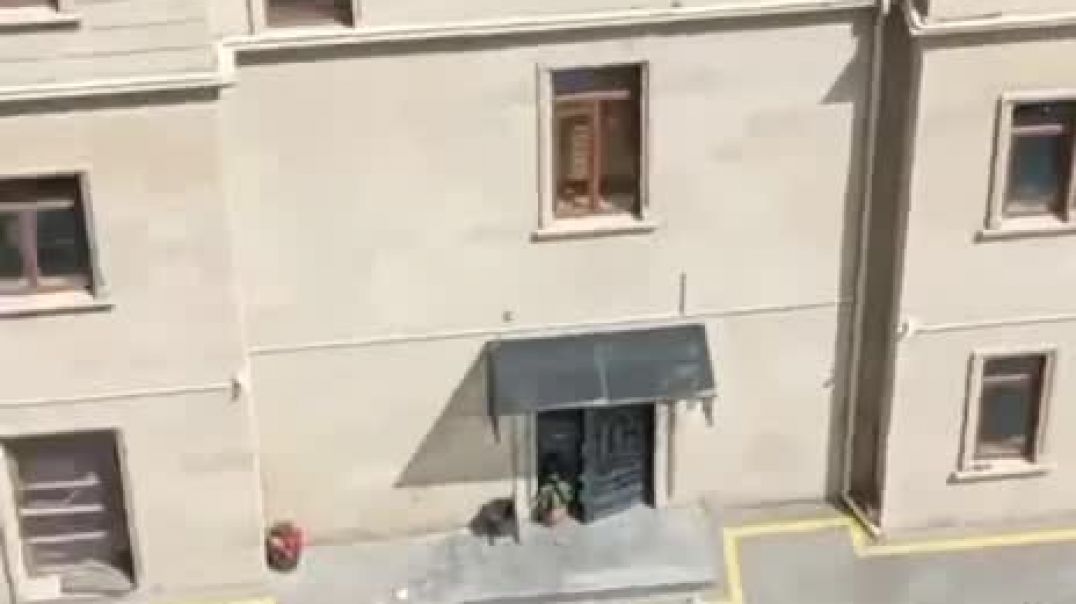 ⁣video_2026-05-25_11-20-47