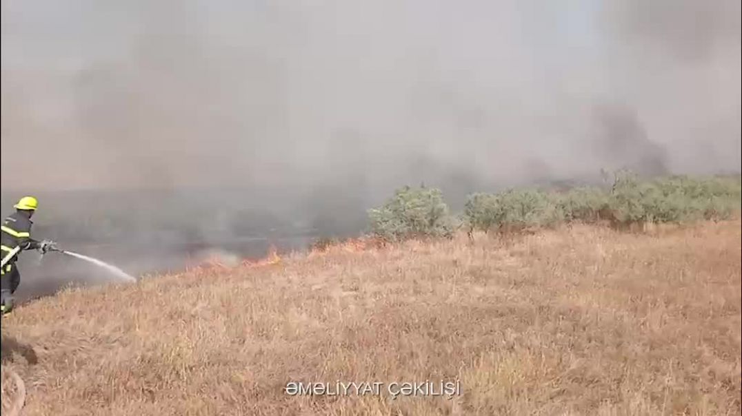 VID-20260610-WA0099